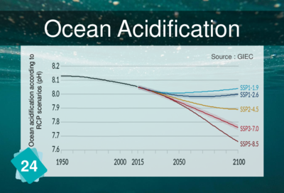 Front of the card "Ocean Acidification"