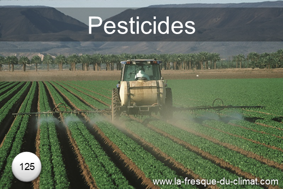 Recto de la carte "Pesticides"