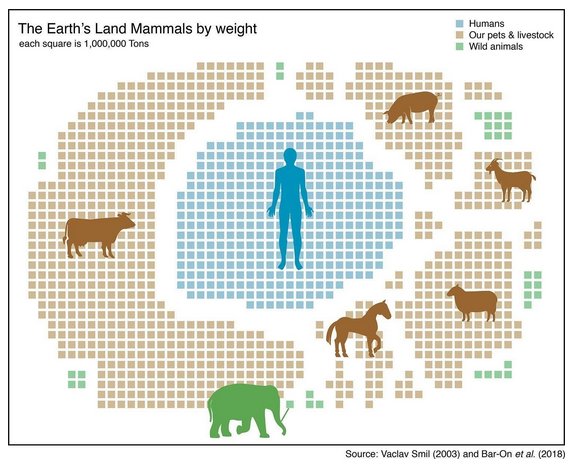 Fichier:Place des animaux sur Terre par poids.png