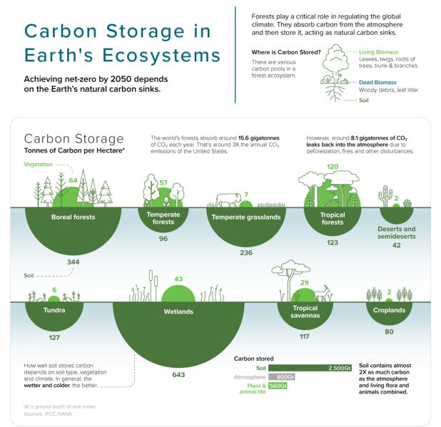 Fichier:Carbon Storage.jpg