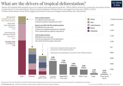 CausesDeforestation.jpg